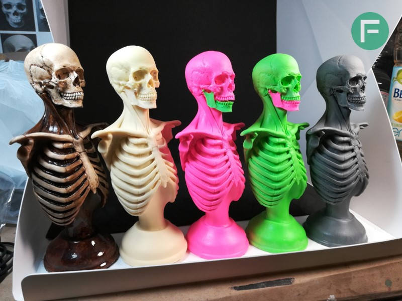 Busti di scheletri in scala realizzati da Federica Castelli e Andrea Leanza con le resine poliuretaniche Smooth-Cast